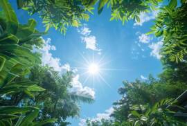 a radiant solar panel installation glistens under a bright blue sky, surrounded by lush greenery, symbolizing a sustainable and valuable home enhancement.