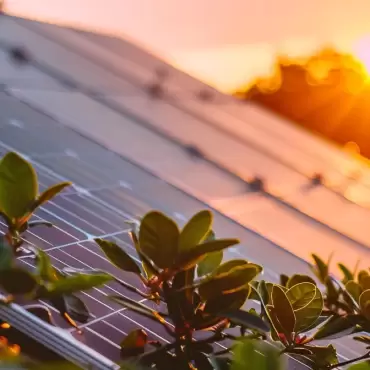 a vibrant, sunlit landscape showcasing sleek solar panels glistening on a rooftop in orlando, surrounded by a clear blue sky and lush greenery, symbolizing sustainable energy.