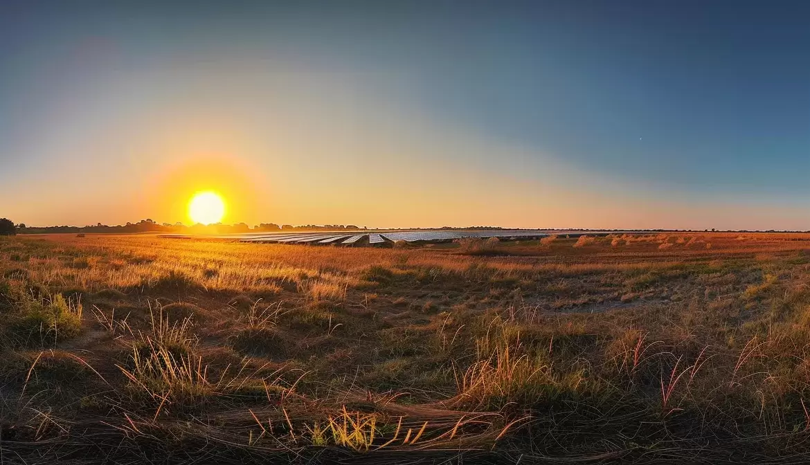 a radiant sunrise casts golden rays over a vast field of solar panels in florida, capturing the vibrant energy of renewable technology against the backdrop of a clear blue sky.
