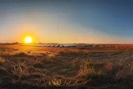 a radiant sunrise casts golden rays over a vast field of solar panels in florida, capturing the vibrant energy of renewable technology against the backdrop of a clear blue sky.