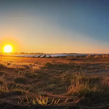 a radiant sunrise casts golden rays over a vast field of solar panels in florida, capturing the vibrant energy of renewable technology against the backdrop of a clear blue sky.